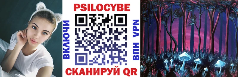 как найти закладки  Жирновск  Псилоцибиновые грибы Psilocybine cubensis 